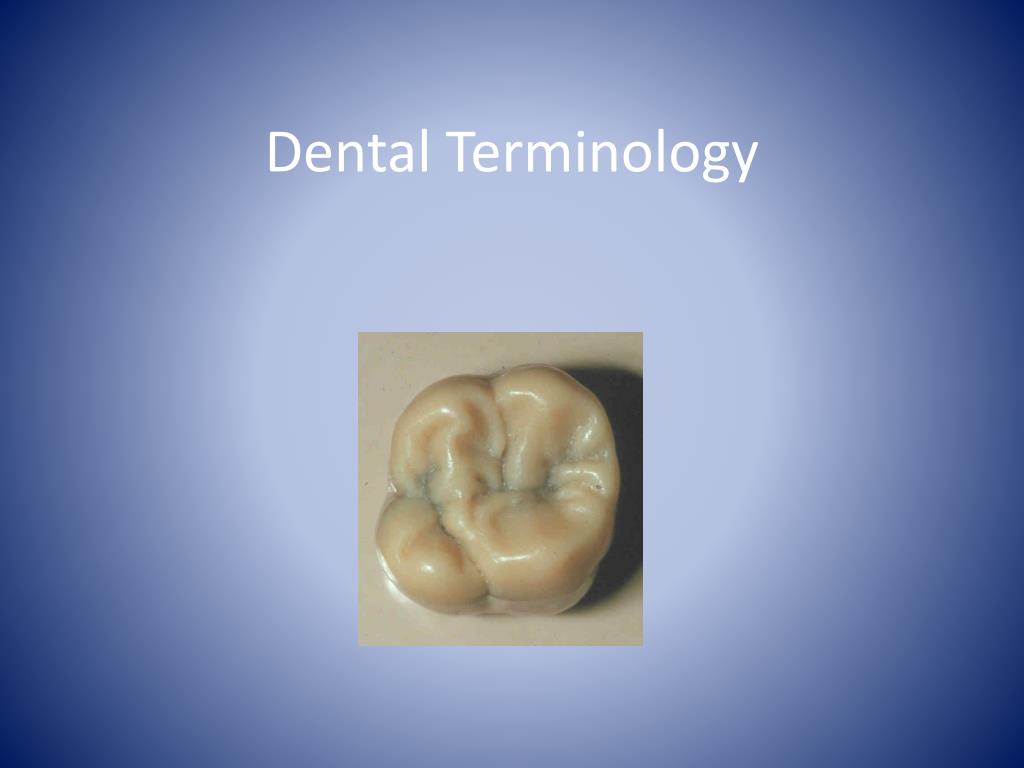 PPT - Dental Terminology PowerPoint Presentation, free download - ID ...
