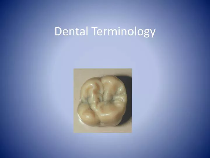 dental terminology