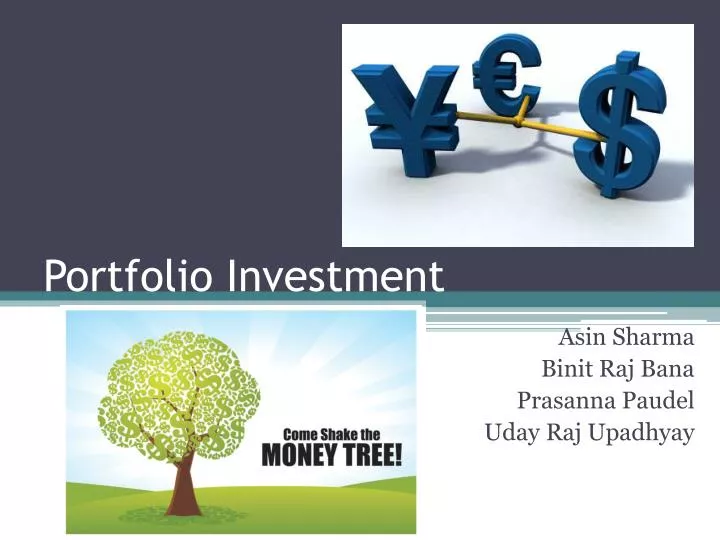 portfolio investment