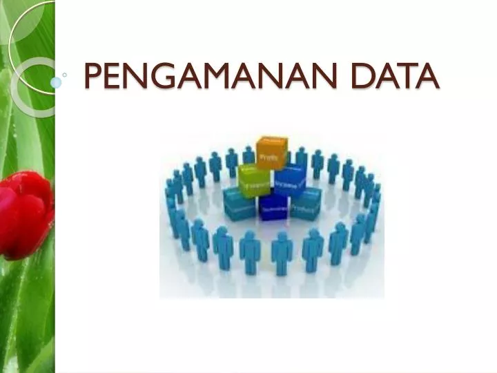 pengamanan data