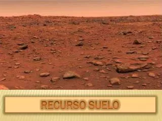 recurso suelo