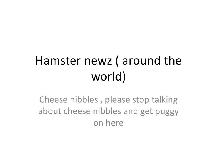 hamster newz around the world