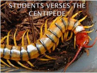 Students verses the centipede