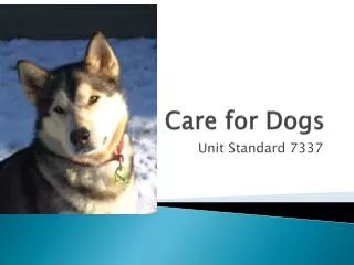 Care for Dogs