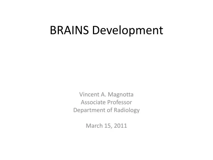 brains development