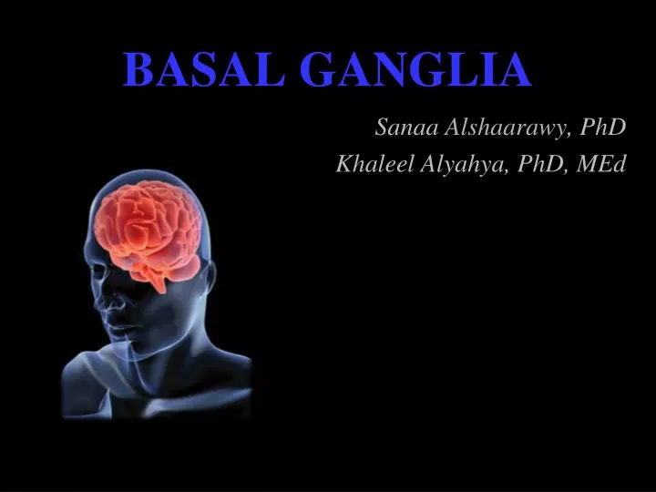 basal ganglia anatomy ppt