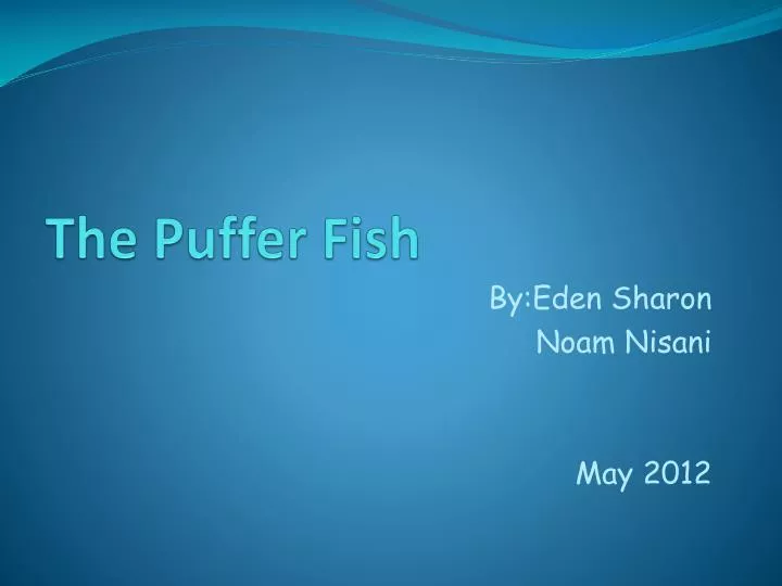 the puffer fish