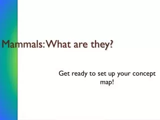 Mammals: What are they?