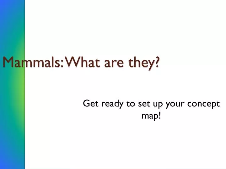 mammals what are they