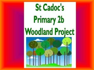 St Cadoc's Primary 2b Woodland Project