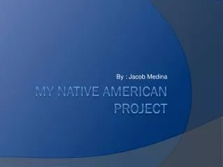 my native American project