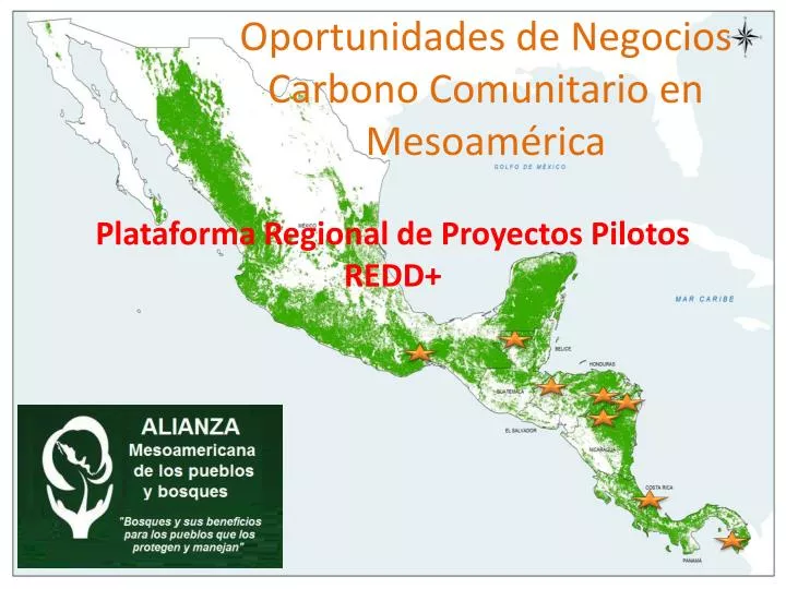 oportunidades de negocios carbono comunitario en mesoam rica