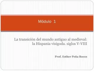 m dulo 1