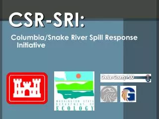 CSR-SRI: