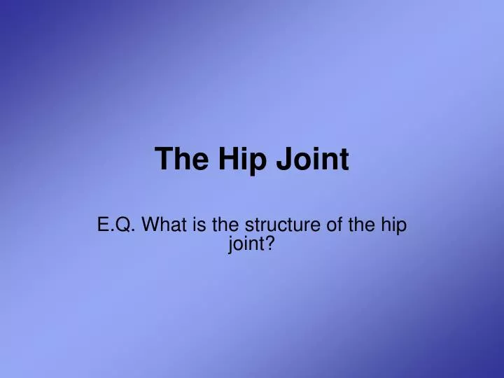 the hip joint