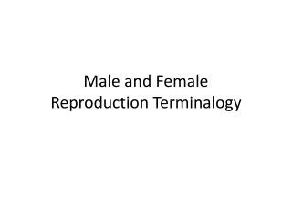Male and Female Reproduction Terminalogy