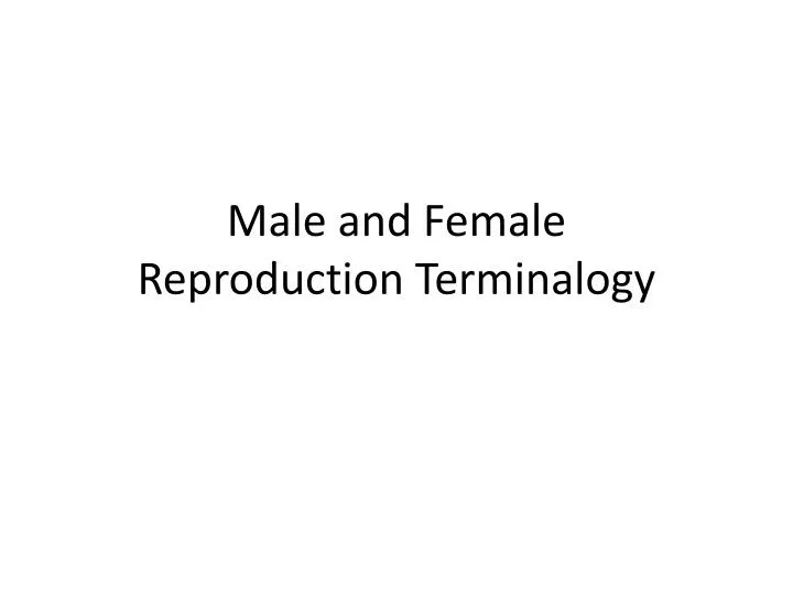 male and female reproduction terminalogy
