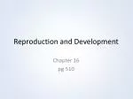 Reproduction and Development - slide 1
