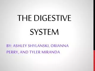 The Digestive System