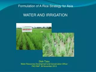Formulation of A Rice Strategy for Asia