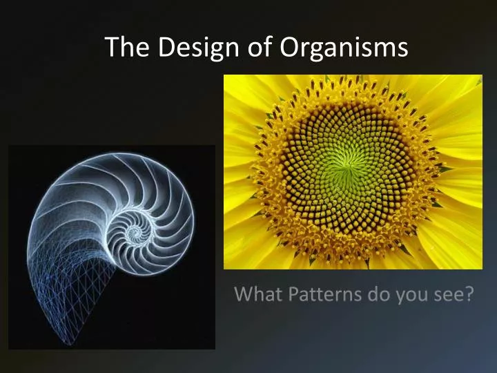 the design of organisms
