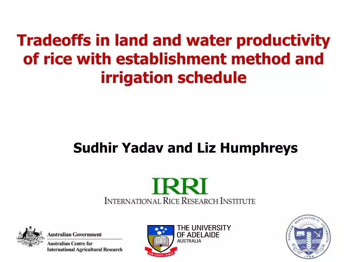 tradeoffs in land and water productivity of rice with establishment method and irrigation schedule