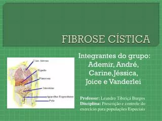 fibrose c stica