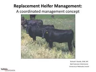 Replacement Heifer Management: A coordinated management concept