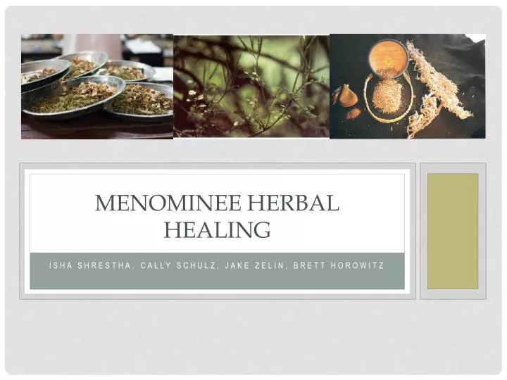 menominee herbal healing