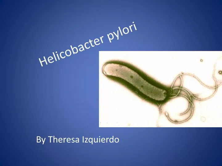 helicobacter pylori