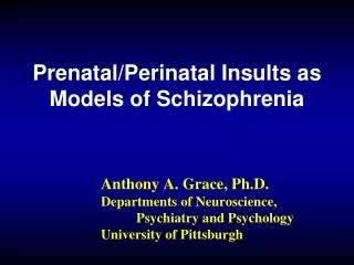 Prenatal/Perinatal Insults as Models of Schizophrenia