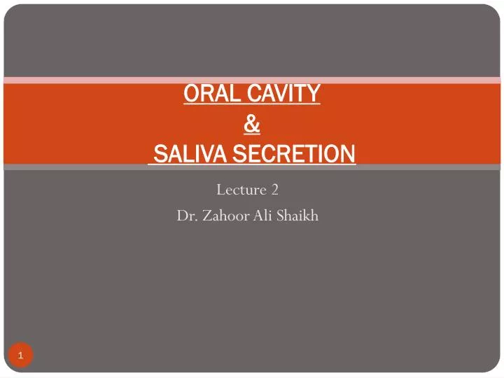 oral cavity saliva secretion