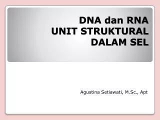 dna dan rna unit struktural dalam sel