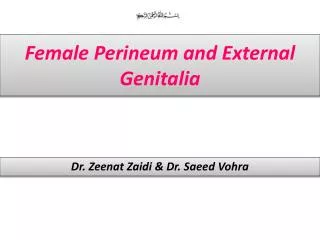 Female Perineum and External Genitalia