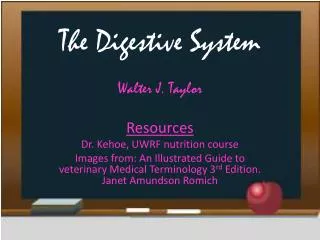 The Digestive System