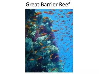 Great Barrier Reef