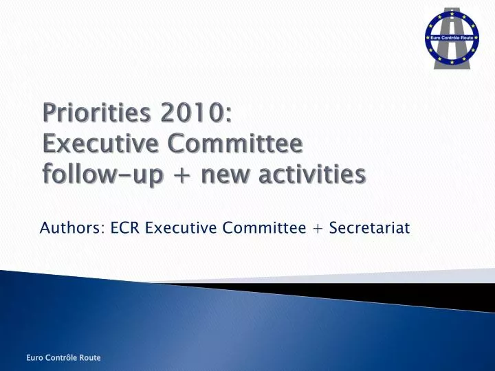 priorities 2010 executive committee follow up new activities