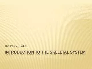 INTRODUCTION TO THE SKELETAL SYSTEM