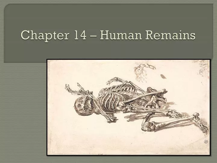 chapter 14 human remains