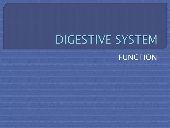 digestive system