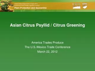 Asian Citrus Psyllid / Citrus Greening