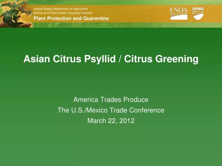 asian citrus psyllid citrus greening