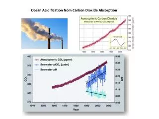 Ocean Acidification from Carbon Dioxide Absorption