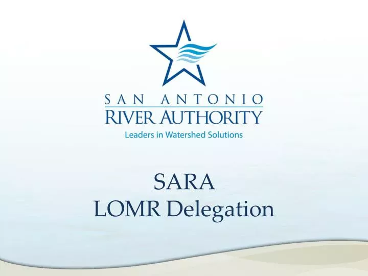 sara lomr delegation