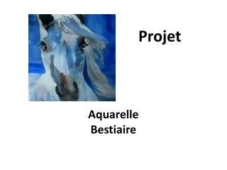 Projet Aquarelle Bestiaire