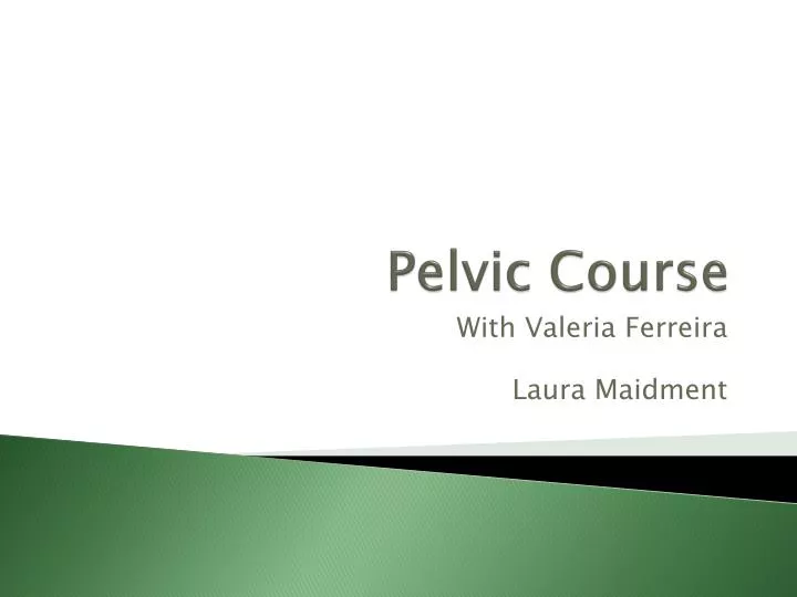pelvic course