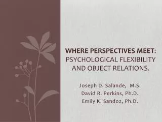 Where Perspectives Meet : Psychological Flexibility and Object Relations.