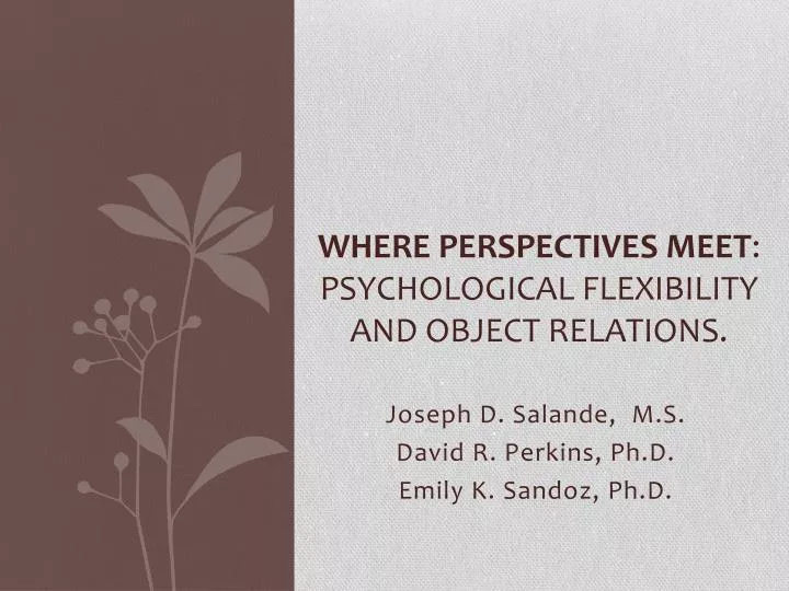 where perspectives meet psychological flexibility and object relations