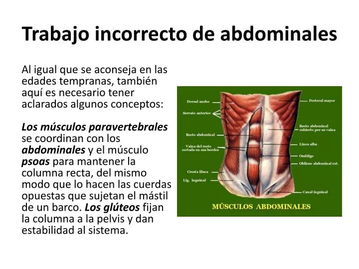 trabajo incorrecto de abdominales