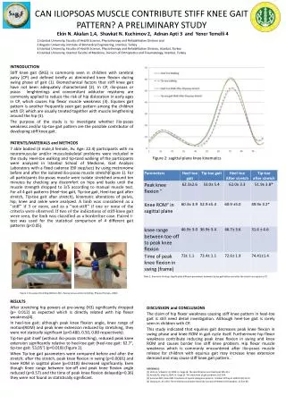 CAN ILIOPSOAS MUSCLE CONTRIBUTE STIFF KNEE GAIT PATTERN? A PRELIMINARY STUDY